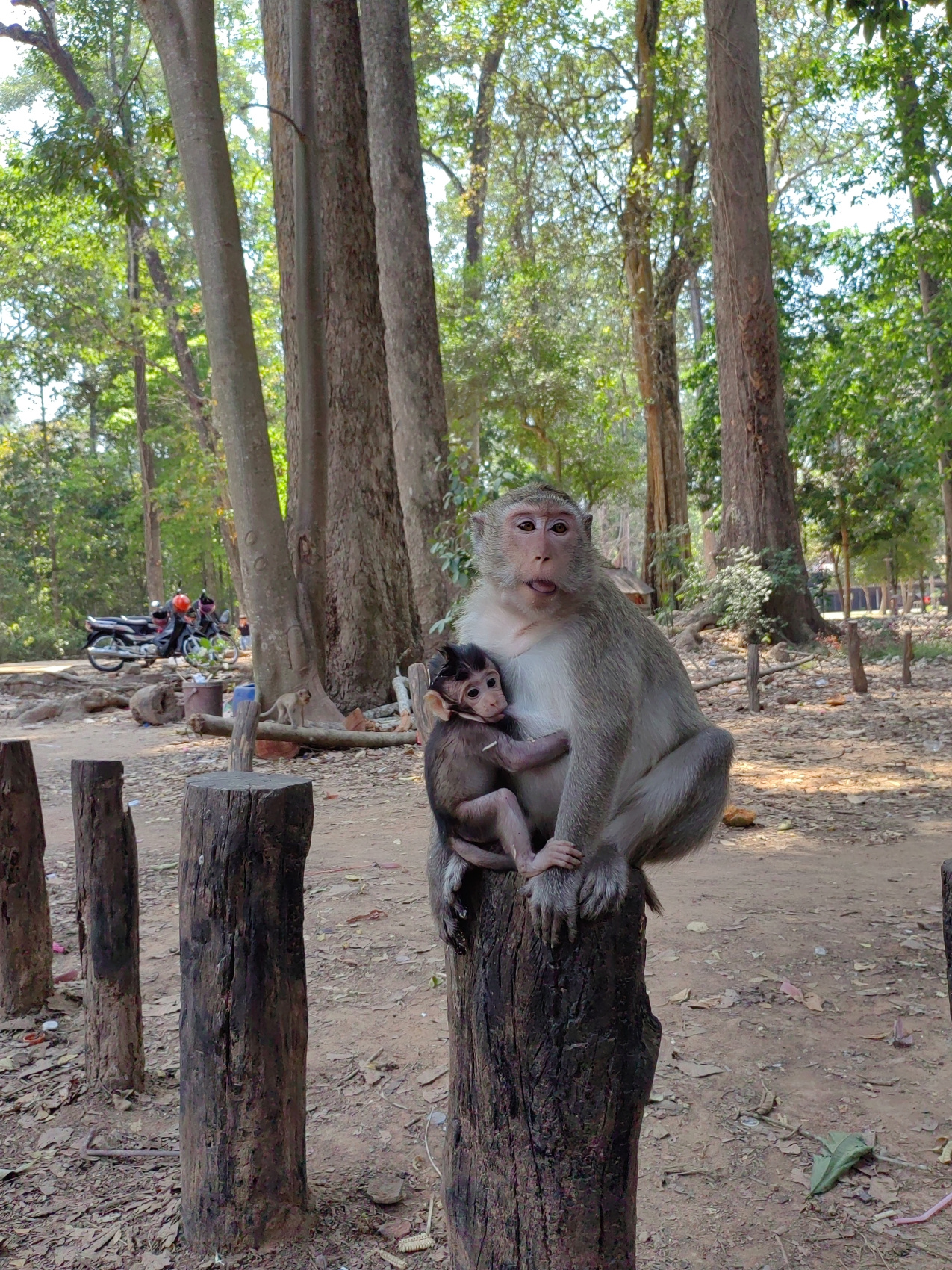 Экспедиция 5 стран Юго-Восточной Азии! (23/118)