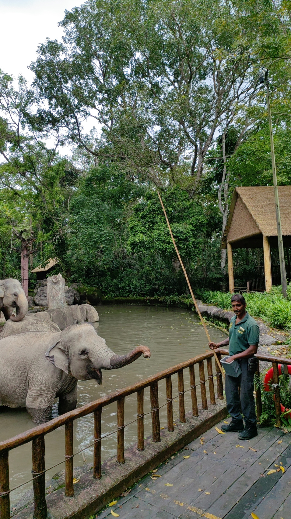 Экспедиция 5 стран Юго-Восточной Азии! (61/118)