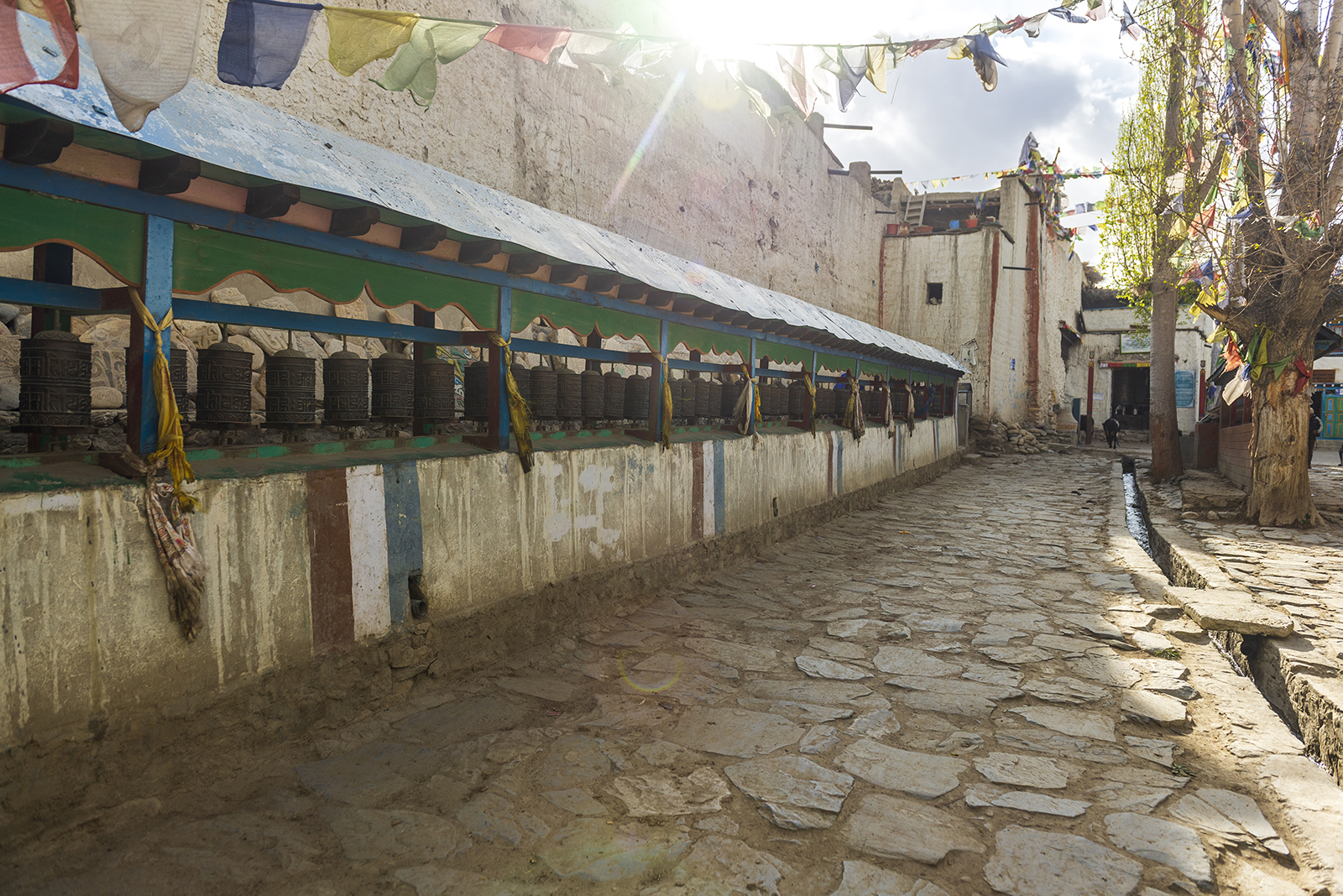 Комфортный тур в Тибет(королевство Ло-Мустанг) (30/83)