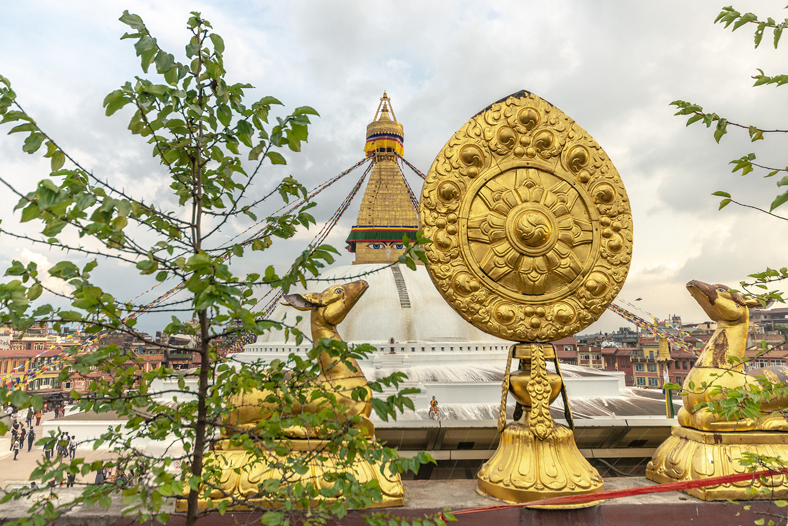 Комфортный тур в Тибет(королевство Ло-Мустанг) (49/83)