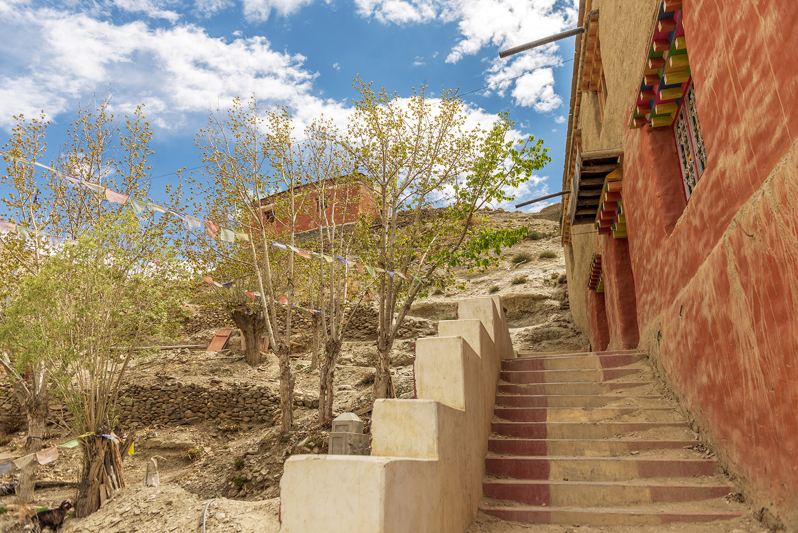 Комфортный тур в Тибет(королевство Ло-Мустанг) (43/83)