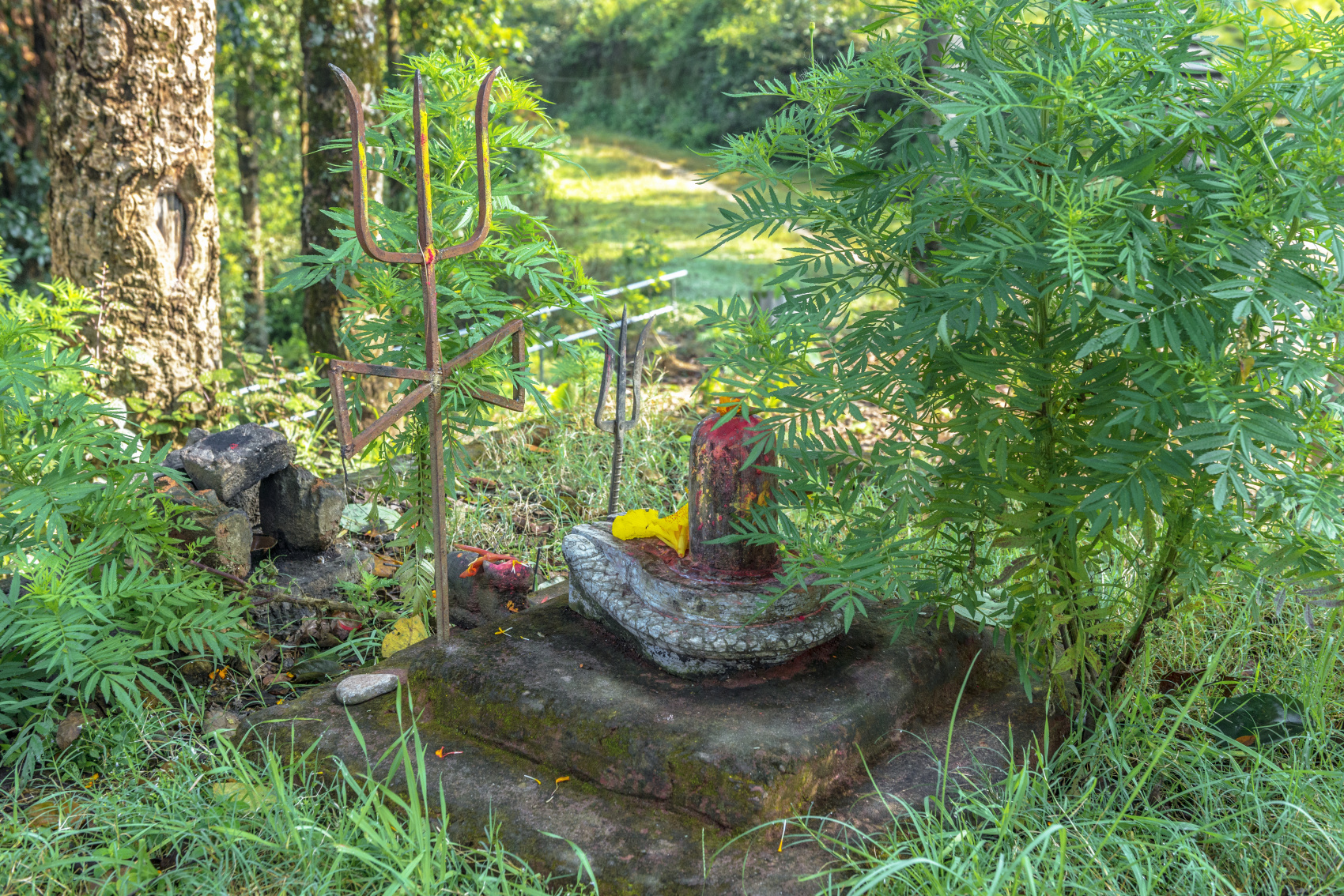 Комфортный тур в Тибет(королевство Ло-Мустанг) (9/83)