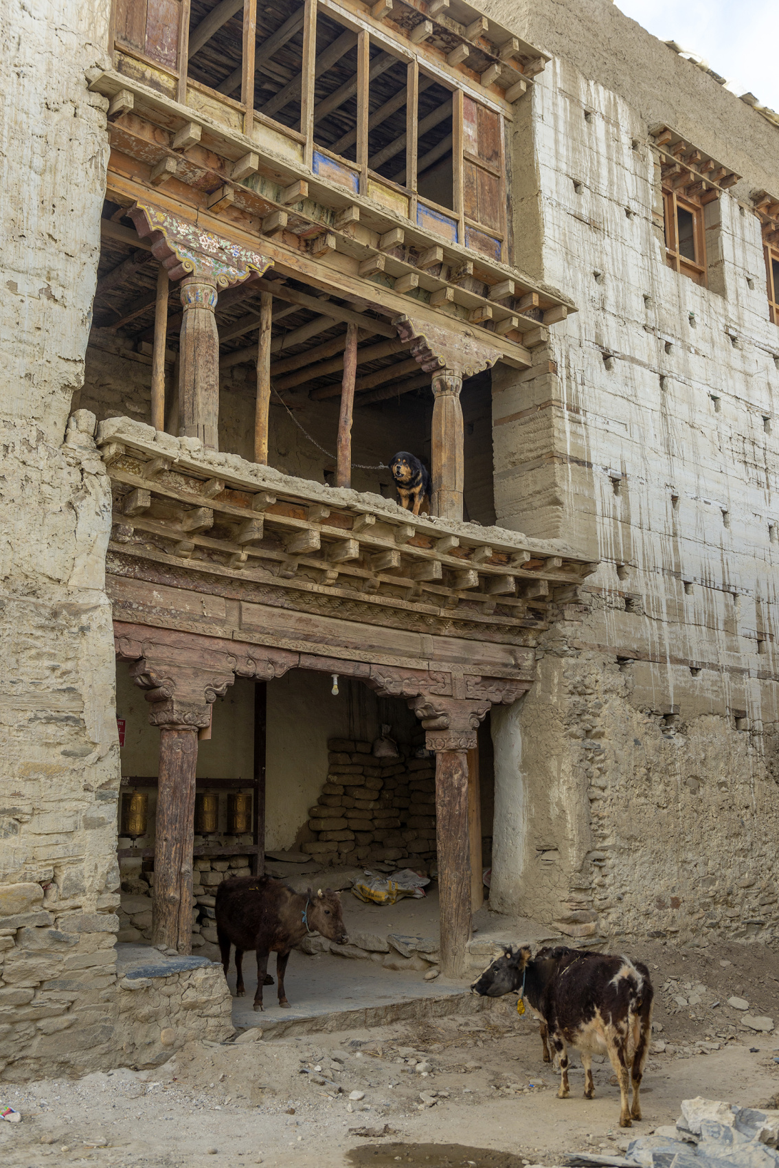 Комфортный тур в Тибет(королевство Ло-Мустанг) (34/83)