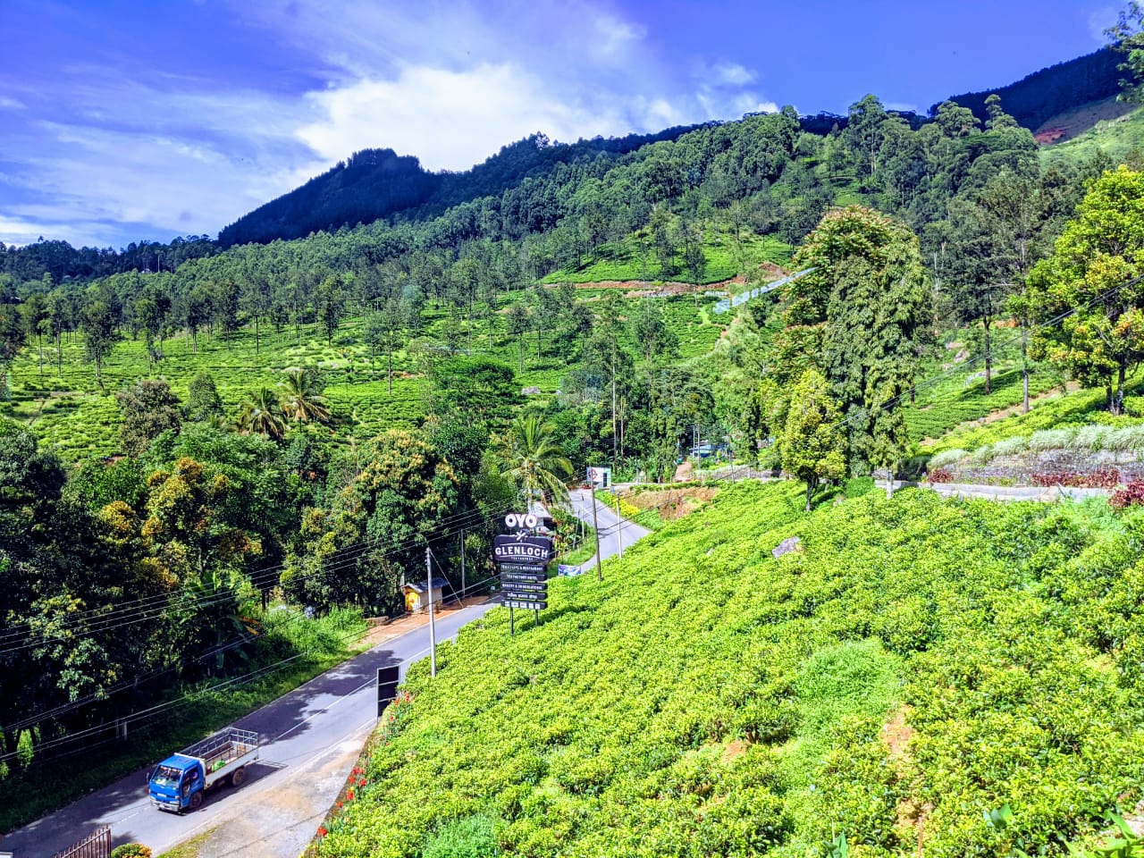 Золотое кольцо Шри-Ланки (25/52)