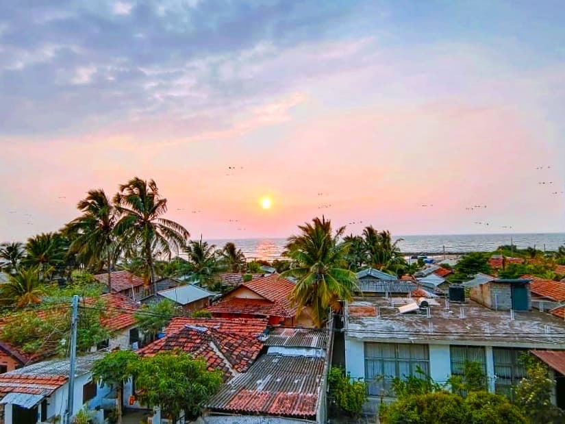 Золотое кольцо Шри-Ланки (18/52)