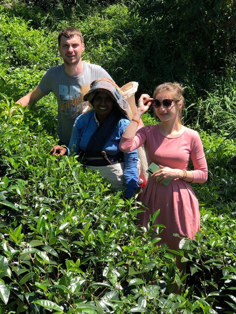 Золотое кольцо Шри-Ланки (15/52)