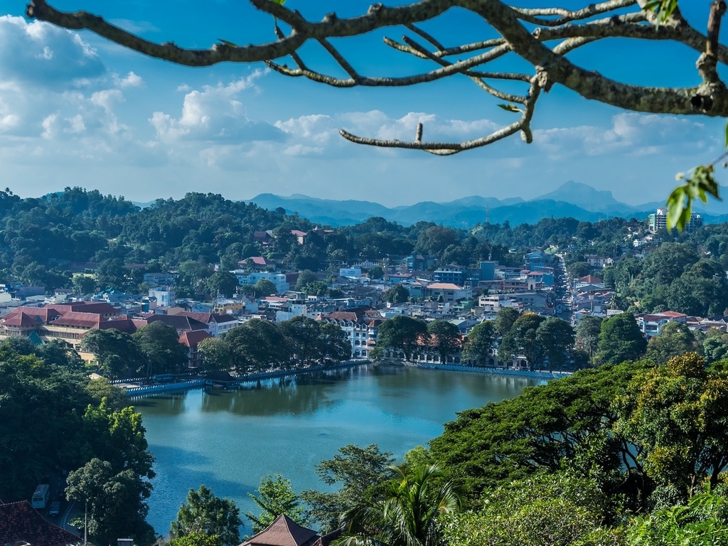 Золотое кольцо Шри-Ланки (23/52)