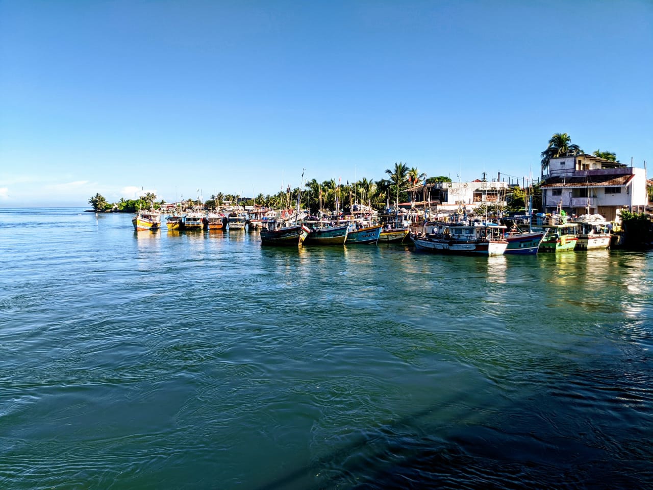 Золотое кольцо Шри-Ланки (19/52)