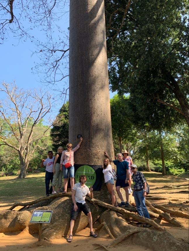 Золотое кольцо Шри-Ланки (22/52)