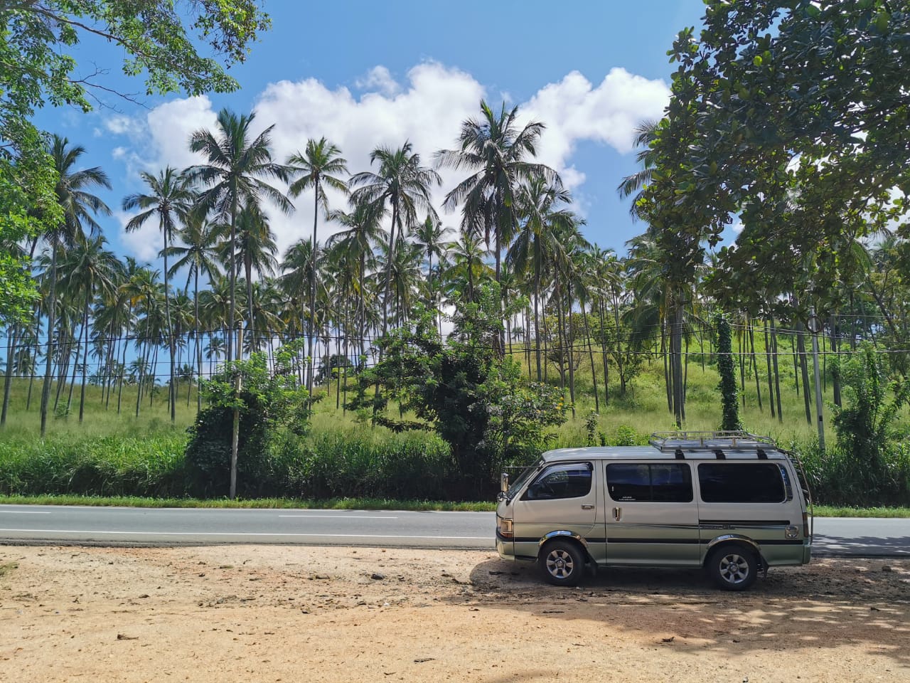 Золотое кольцо Шри-Ланки (14/52)
