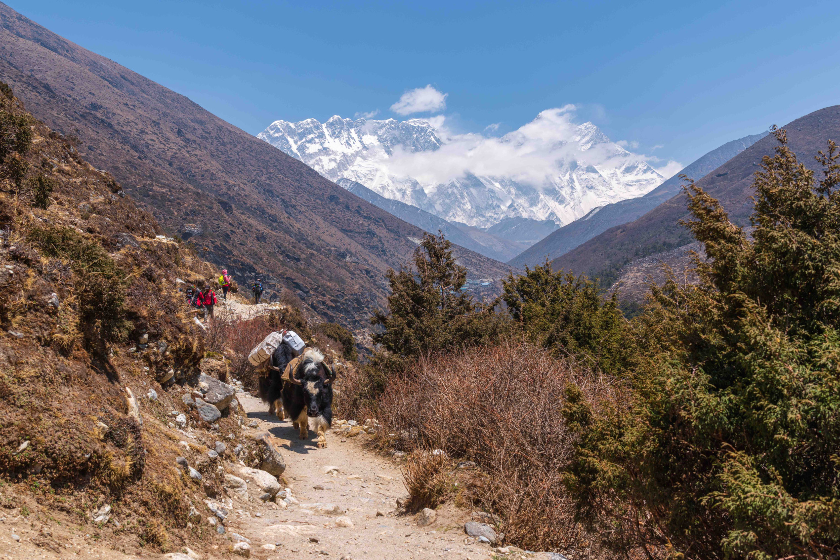 Непал. Трек к подножью Эвереста + самолет и вертолет (50/109)