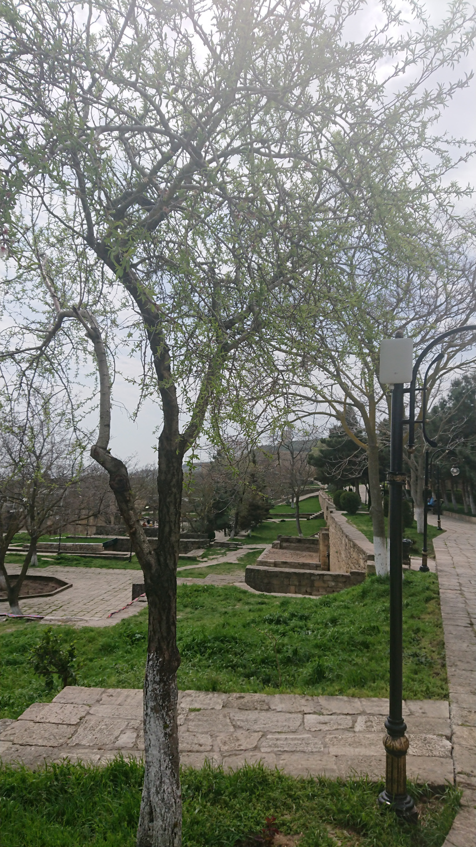 Дербент, табасаранские ковры и Каспийский монстр (6/16)