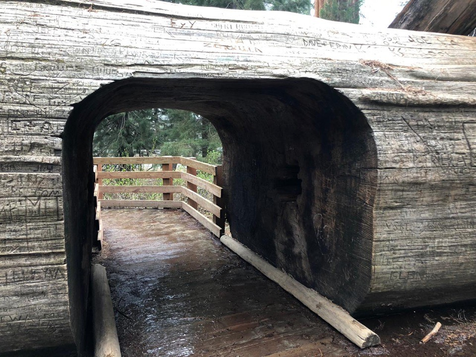 Американские приключения (10/17)