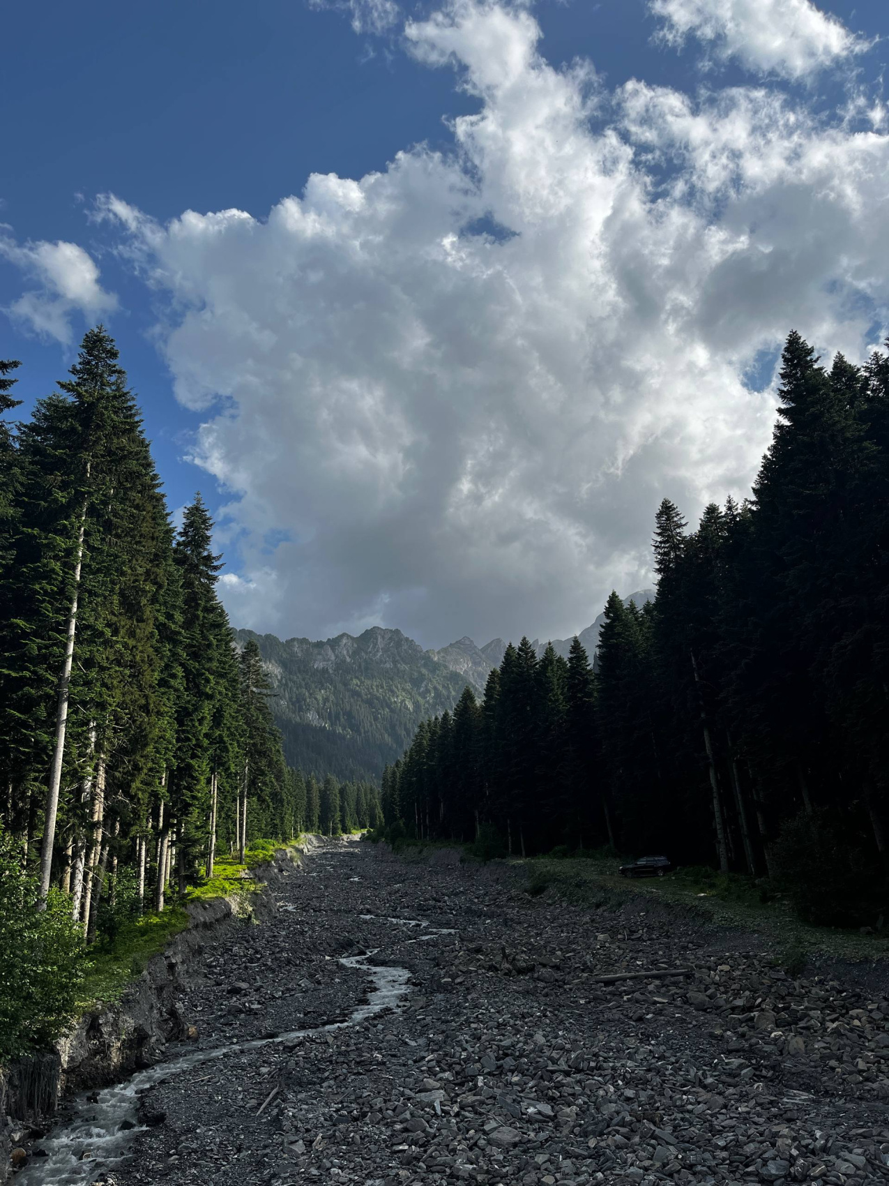 Грузия - Отдых это Исскуство (Рача-Лечхуми-Сванети) (36/57)