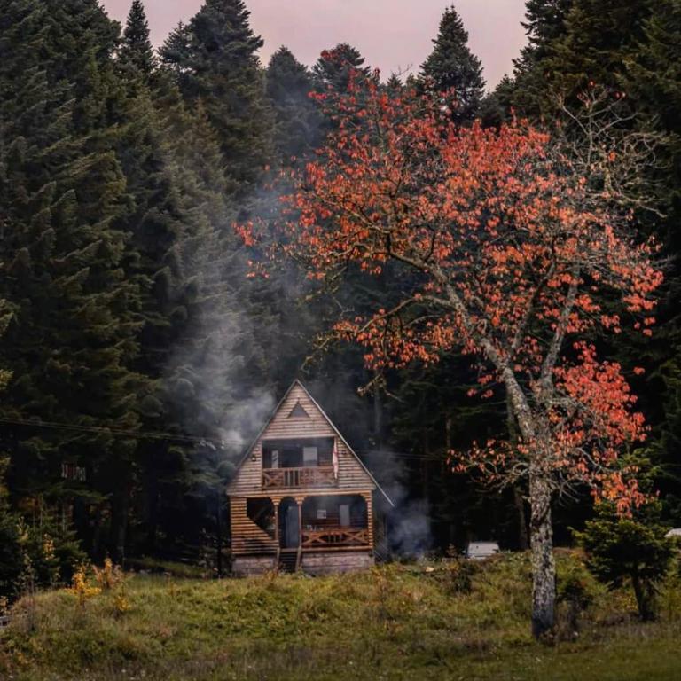 Грузия - Отдых это Исскуство (Рача-Лечхуми-Сванети) (57/57)