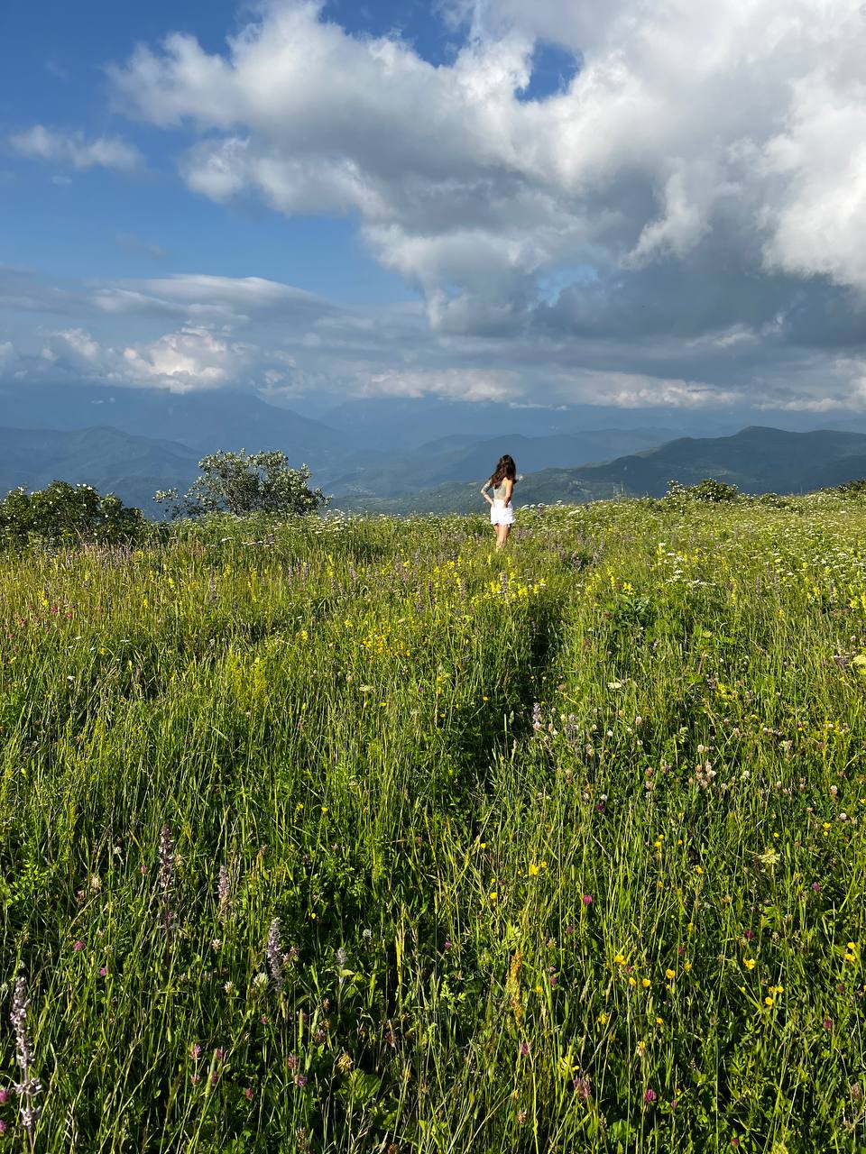 Грузия - Отдых это Исскуство (Рача-Лечхуми-Сванети) (20/57)