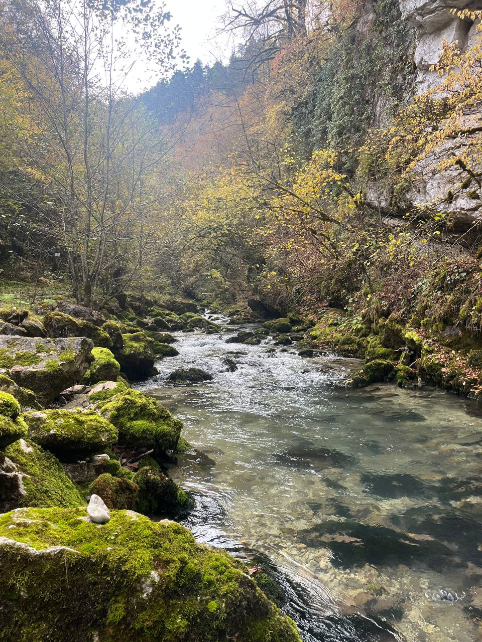 Грузия - Отдых это Исскуство (Рача-Лечхуми-Сванети) (30/57)