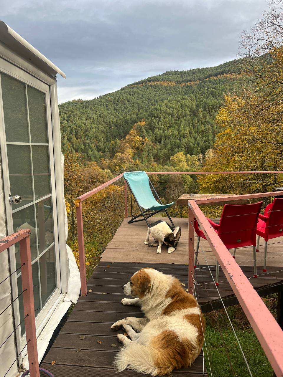 Грузия - Отдых это Исскуство (Рача-Лечхуми-Сванети) (55/57)