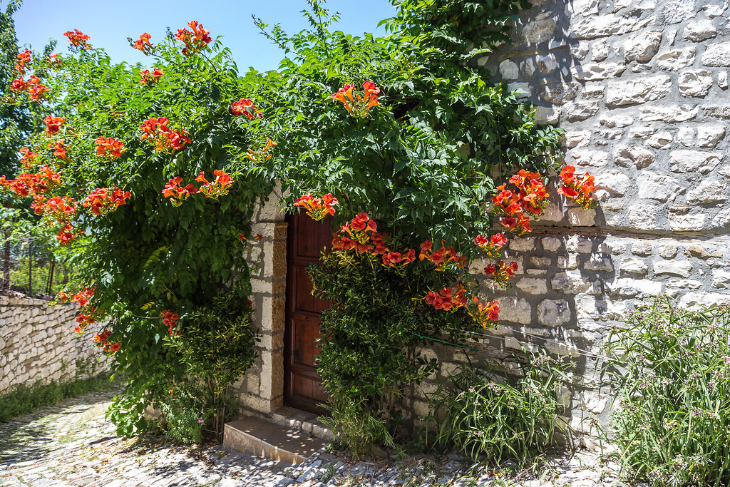 Летние мелодии Эпира.  Албанские и греческие ноты (7/37)