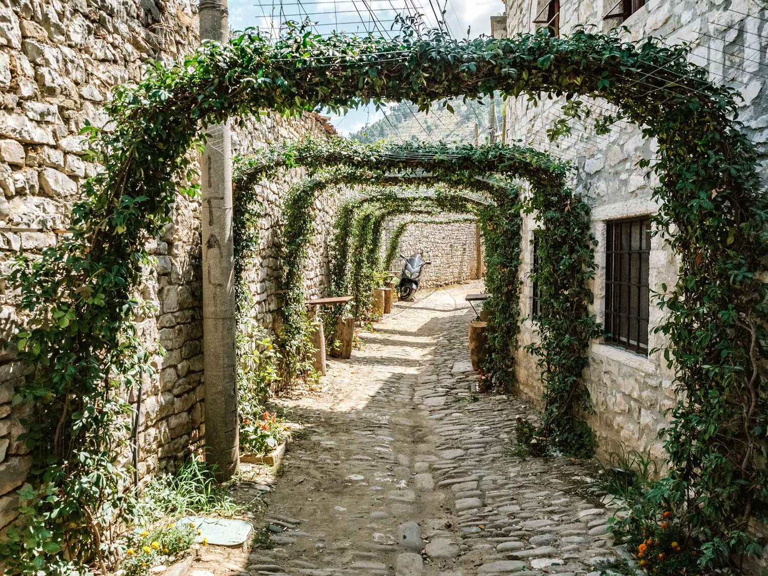 Летние мелодии Эпира.  Албанские и греческие ноты (18/37)