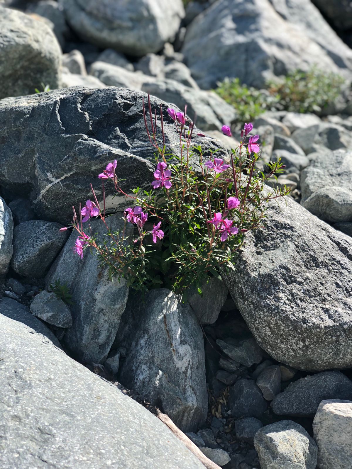 Треккинг тур Архыз.Перезагрузка (81/128)