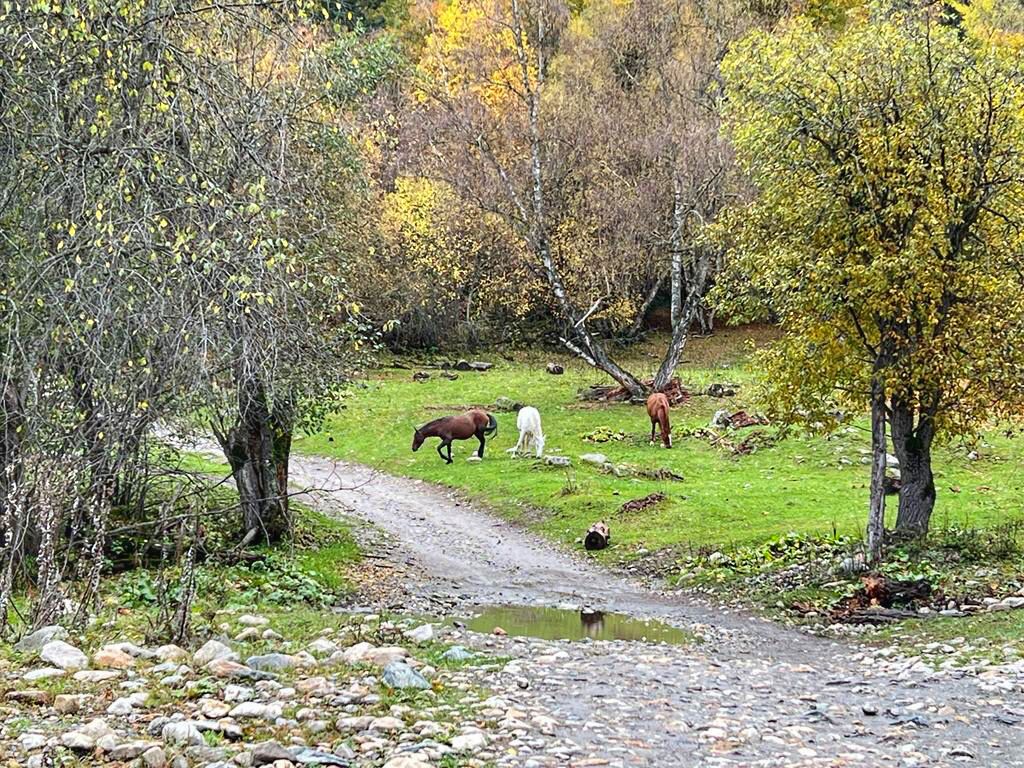 Треккинг тур Архыз.Перезагрузка (40/128)