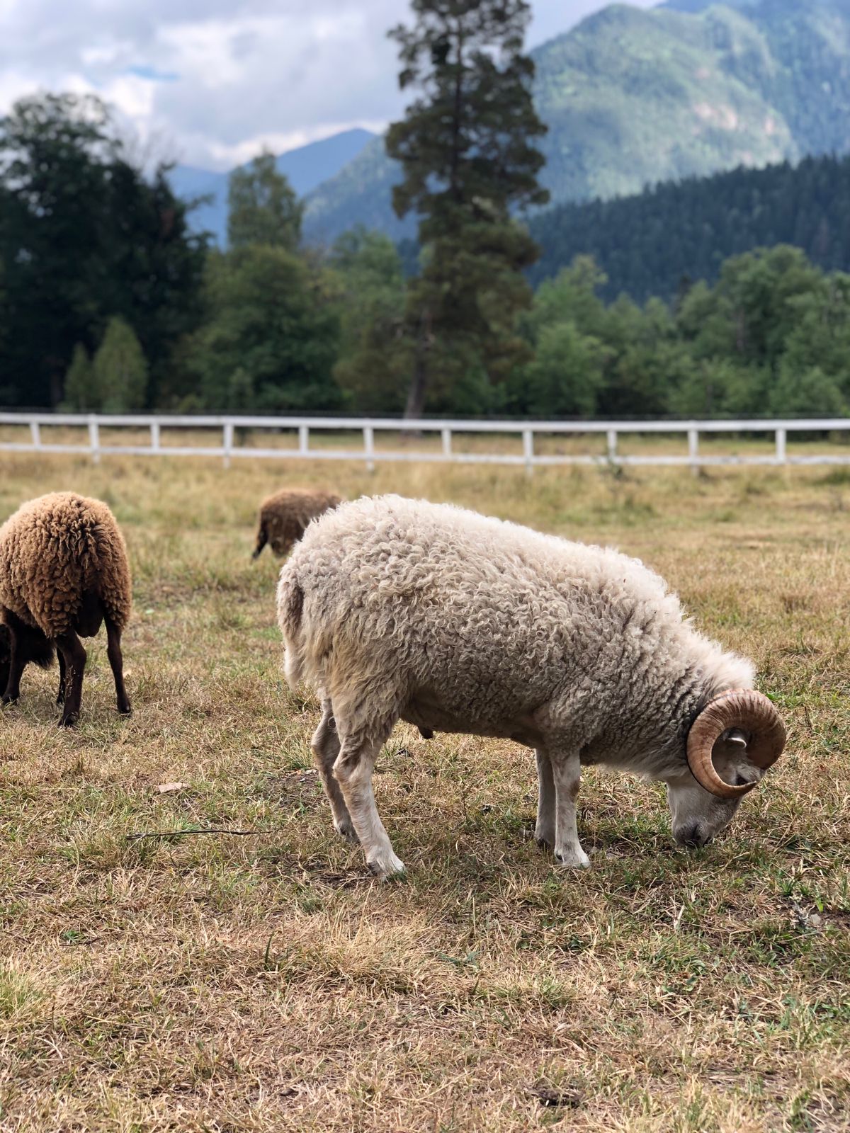 Треккинг тур Архыз.Перезагрузка (63/128)