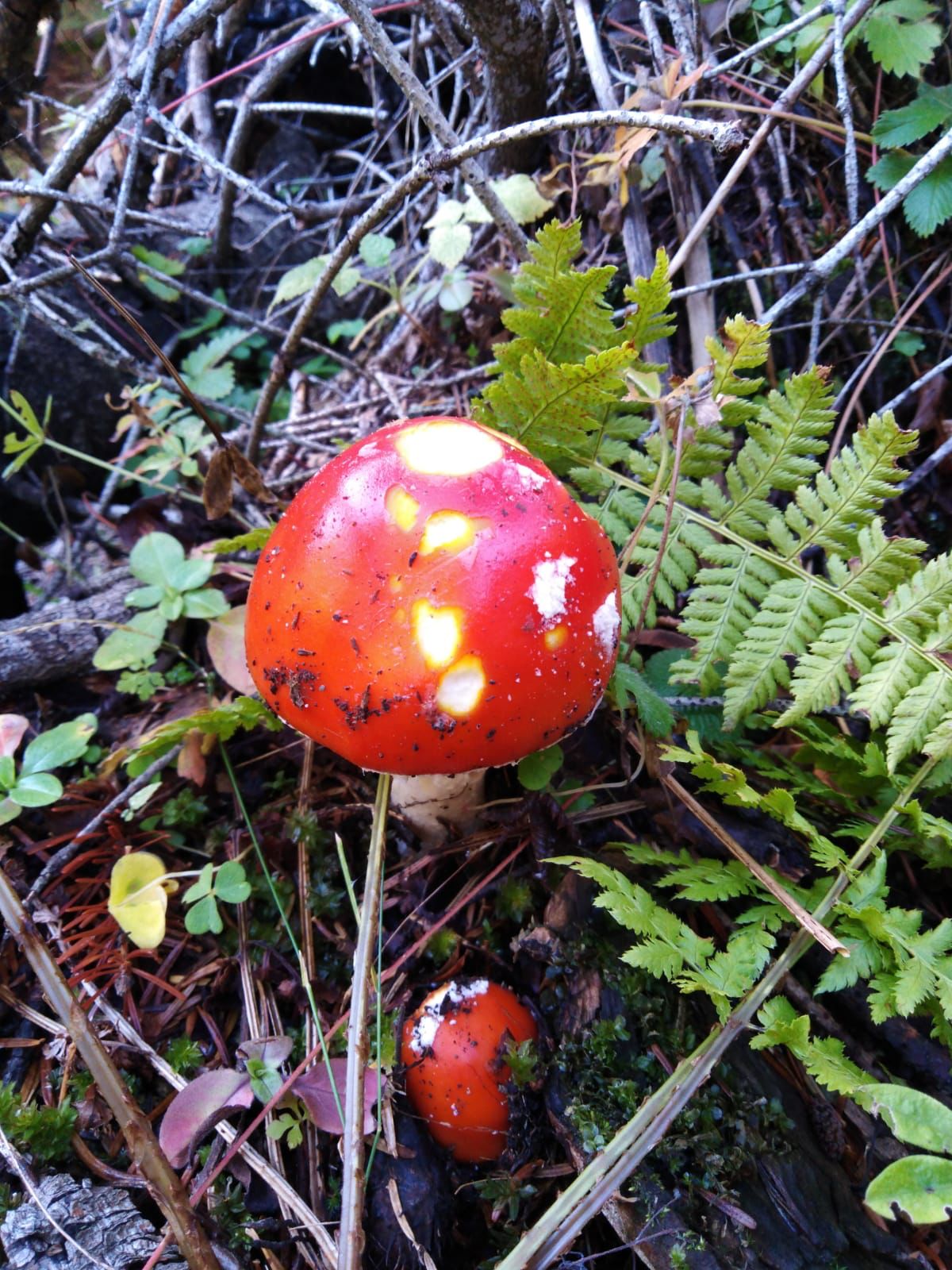 Треккинг тур Архыз.Перезагрузка (44/128)