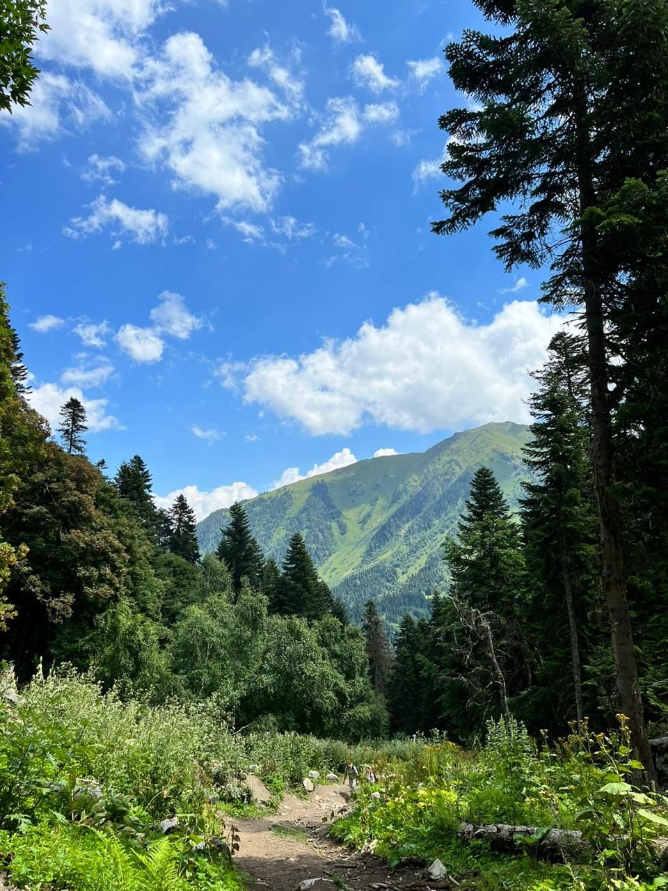 Треккинг тур Архыз.Перезагрузка (8/128)