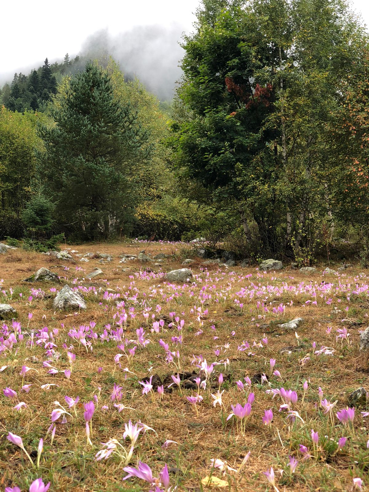 Треккинг тур Архыз.Перезагрузка (124/128)