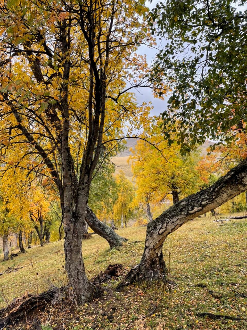 Треккинг тур Архыз.Перезагрузка (36/128)