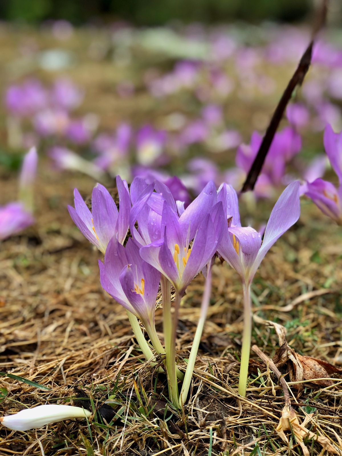 Треккинг тур Архыз.Перезагрузка (114/128)