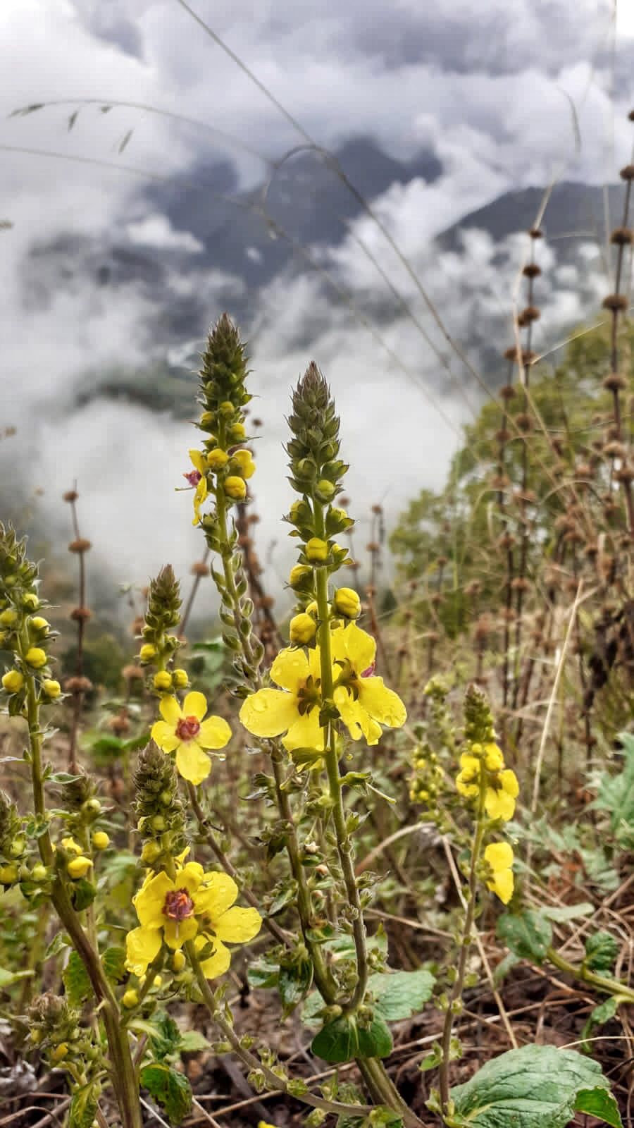 Треккинг тур Архыз.Перезагрузка (37/128)