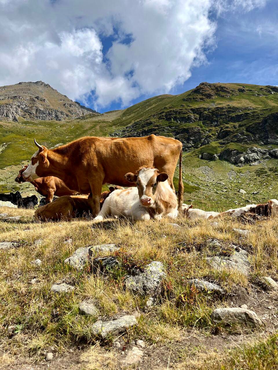 Треккинг тур Архыз.Перезагрузка (69/128)