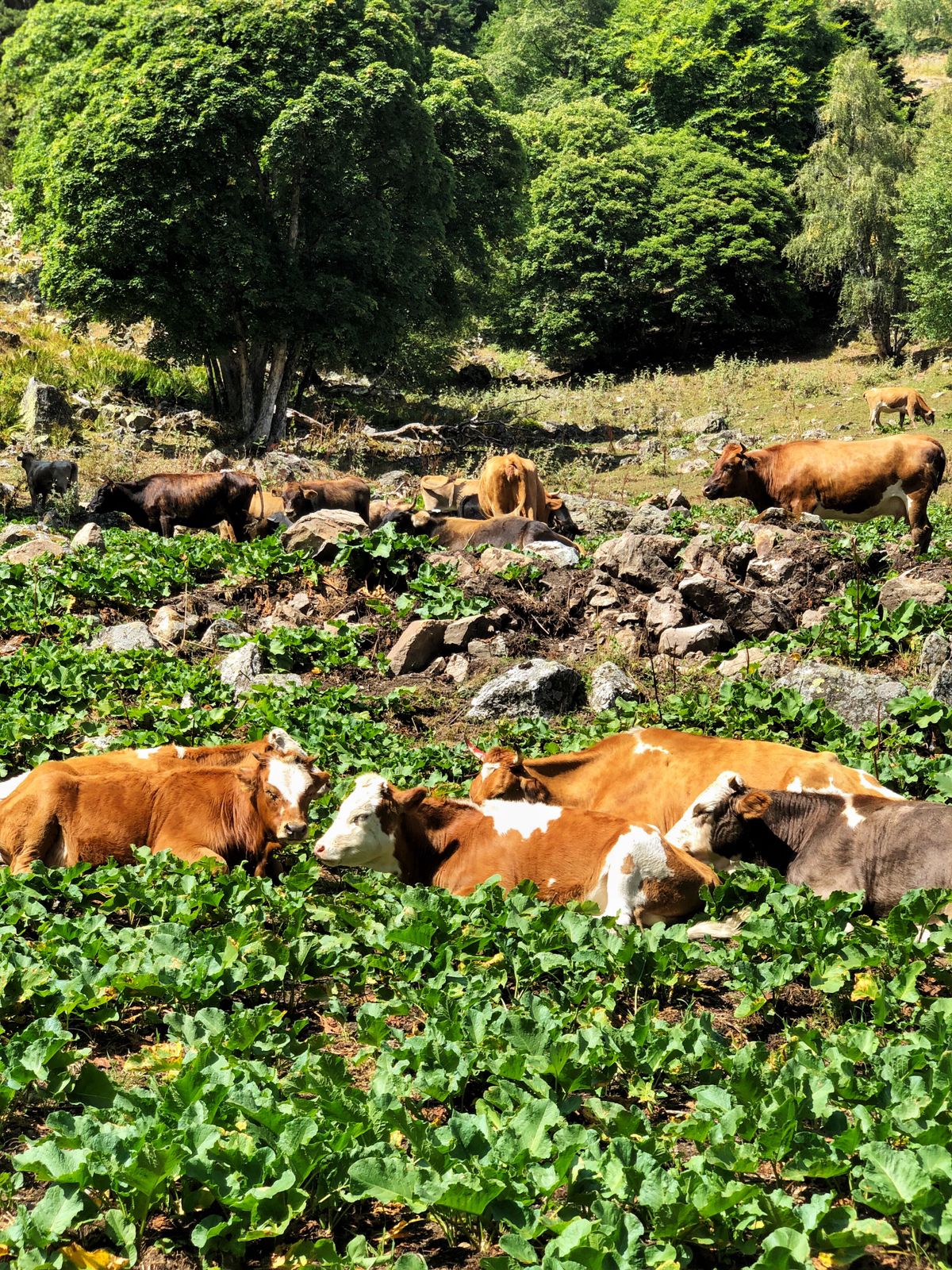 Треккинг тур Архыз.Перезагрузка (84/128)