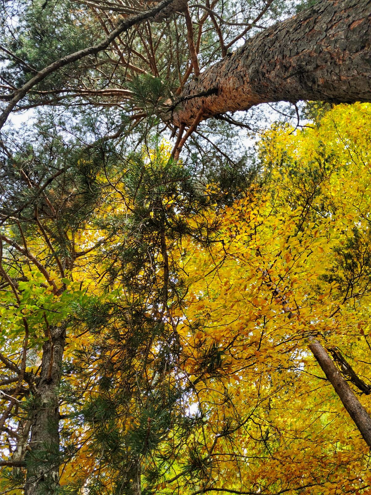 Треккинг тур Архыз.Перезагрузка (57/128)