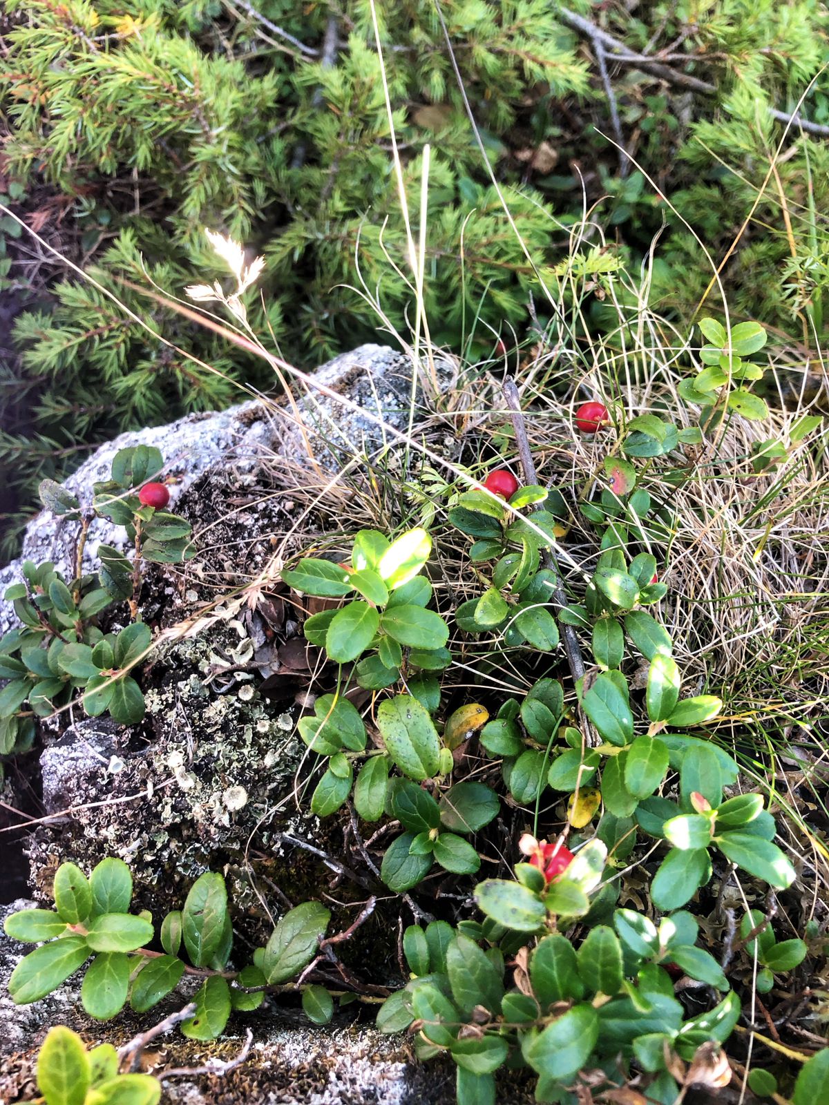 Треккинг тур Архыз.Перезагрузка (97/128)