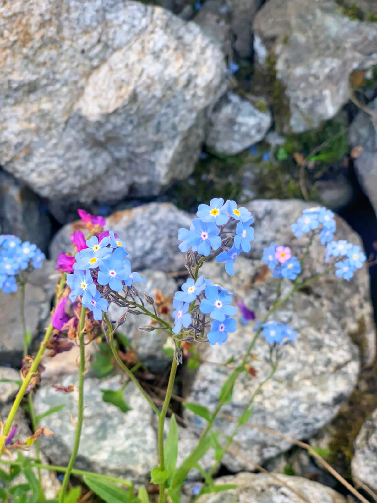 Треккинг тур Архыз.Перезагрузка (12/128)