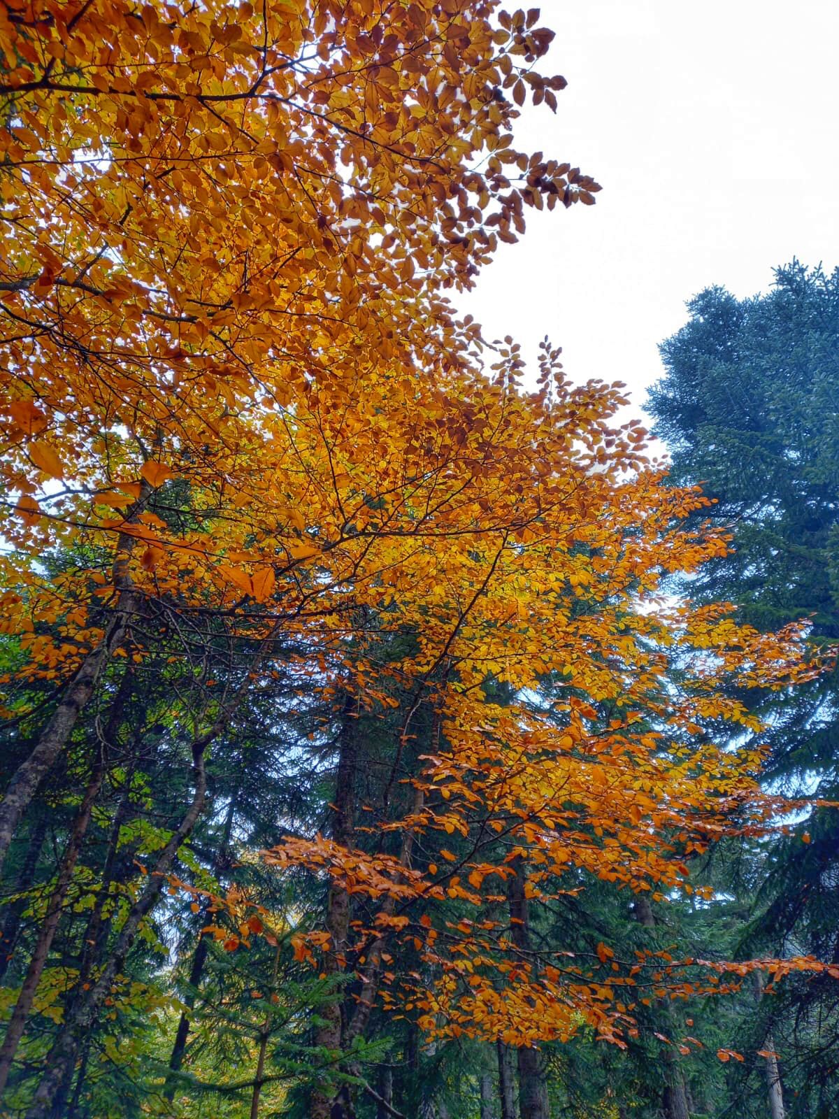 Треккинг тур Архыз.Перезагрузка (41/128)