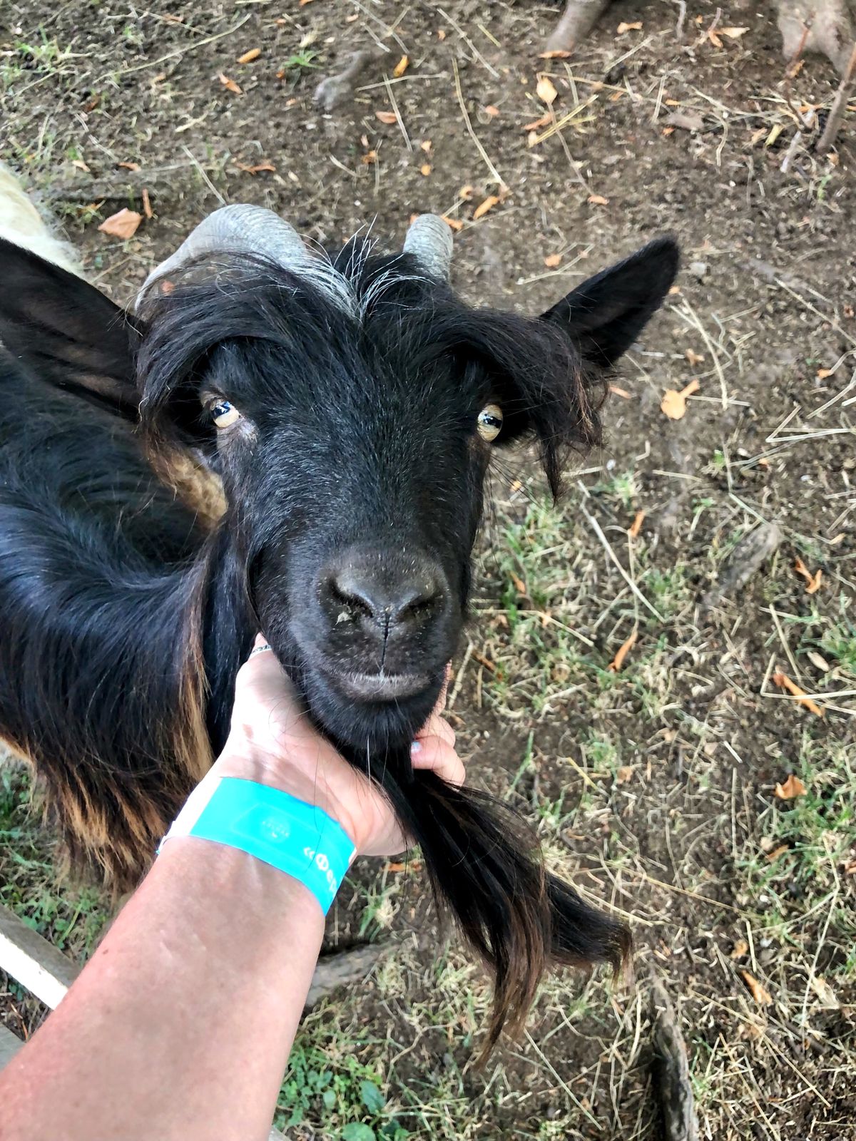 Треккинг тур Архыз.Перезагрузка (90/128)