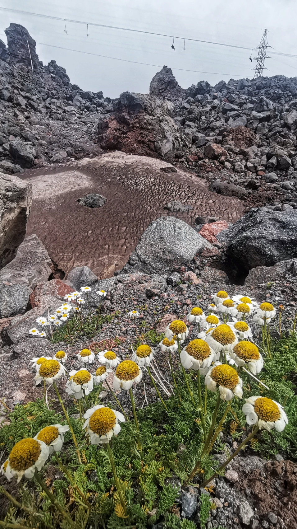Полная перезагрузка. Твой Эльбрус. 5 дней не тяжелого трекинга (мини-группа) (86/99)
