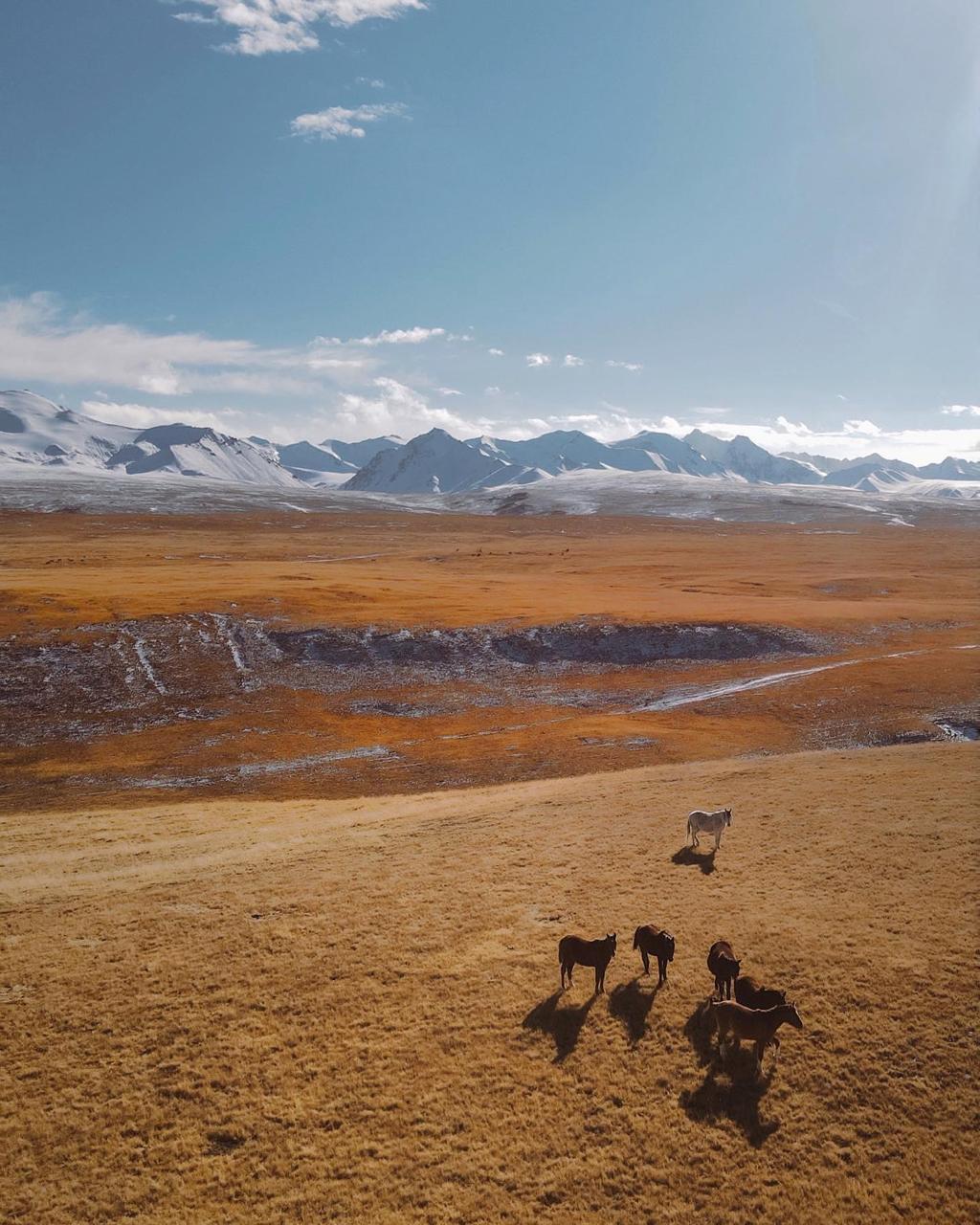 Первозданный Кыргызстан. Топ-10 мест. Все включено. (21/125)