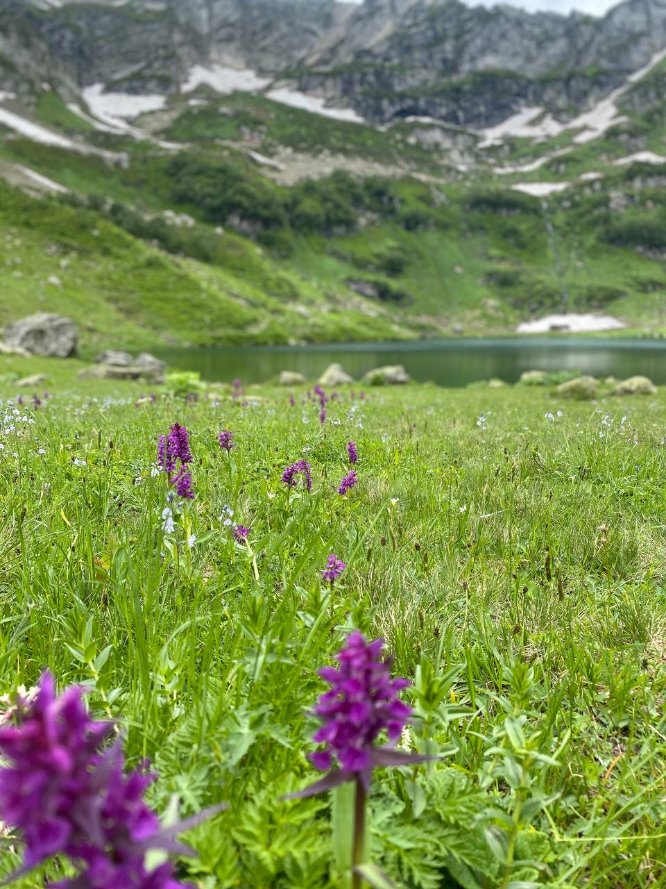 Вах! Высокогорная Абхазия 2.0 - авторский маршрут (48/99)