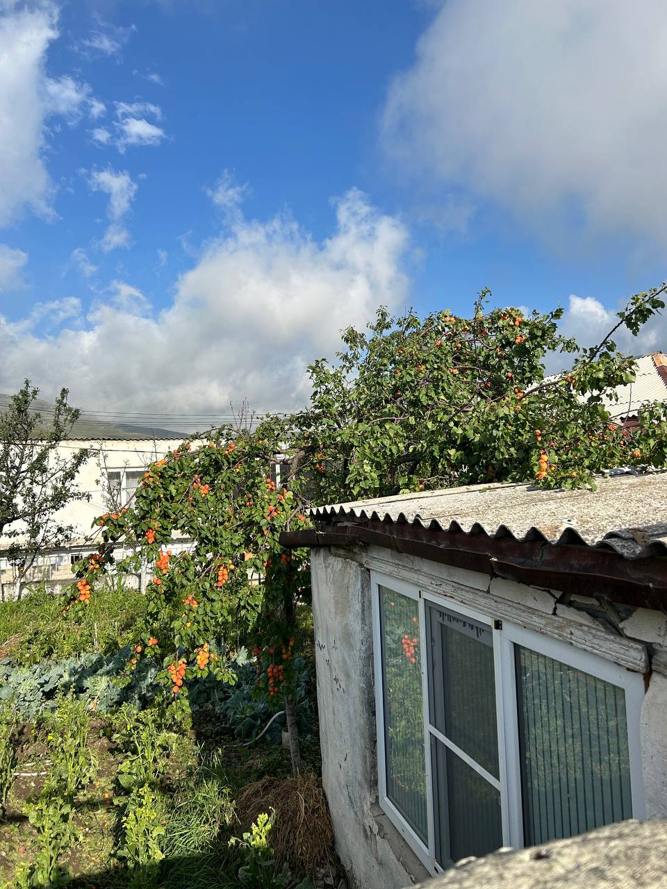 Большой тур по Дагестану (135/259)