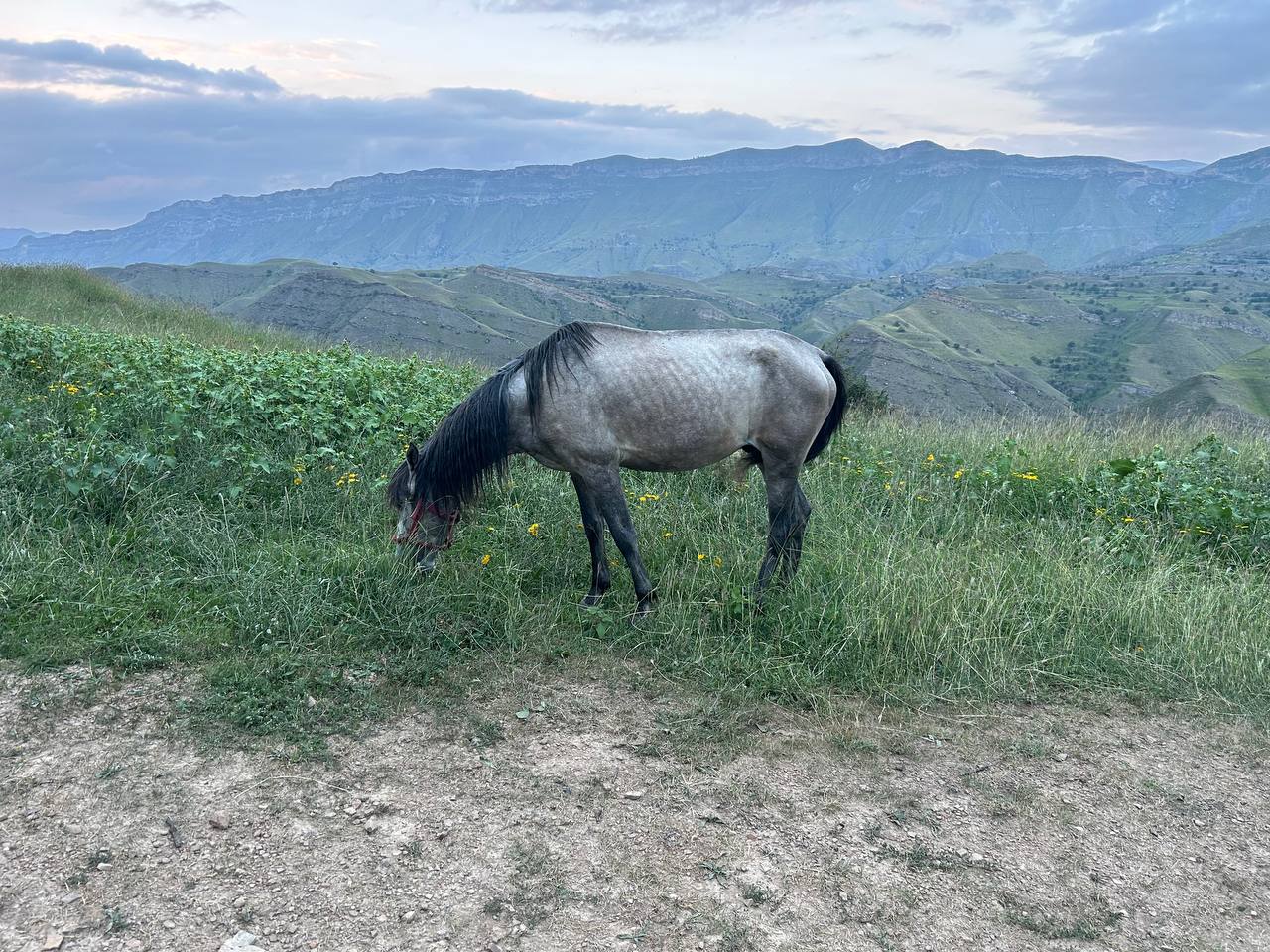 Большой тур по Дагестану (242/259)