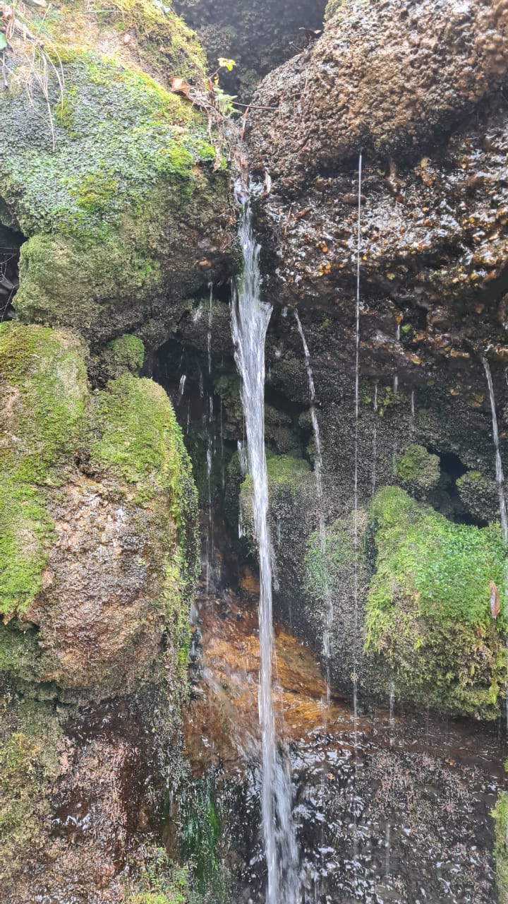 Кухни Кавказа (15/28)