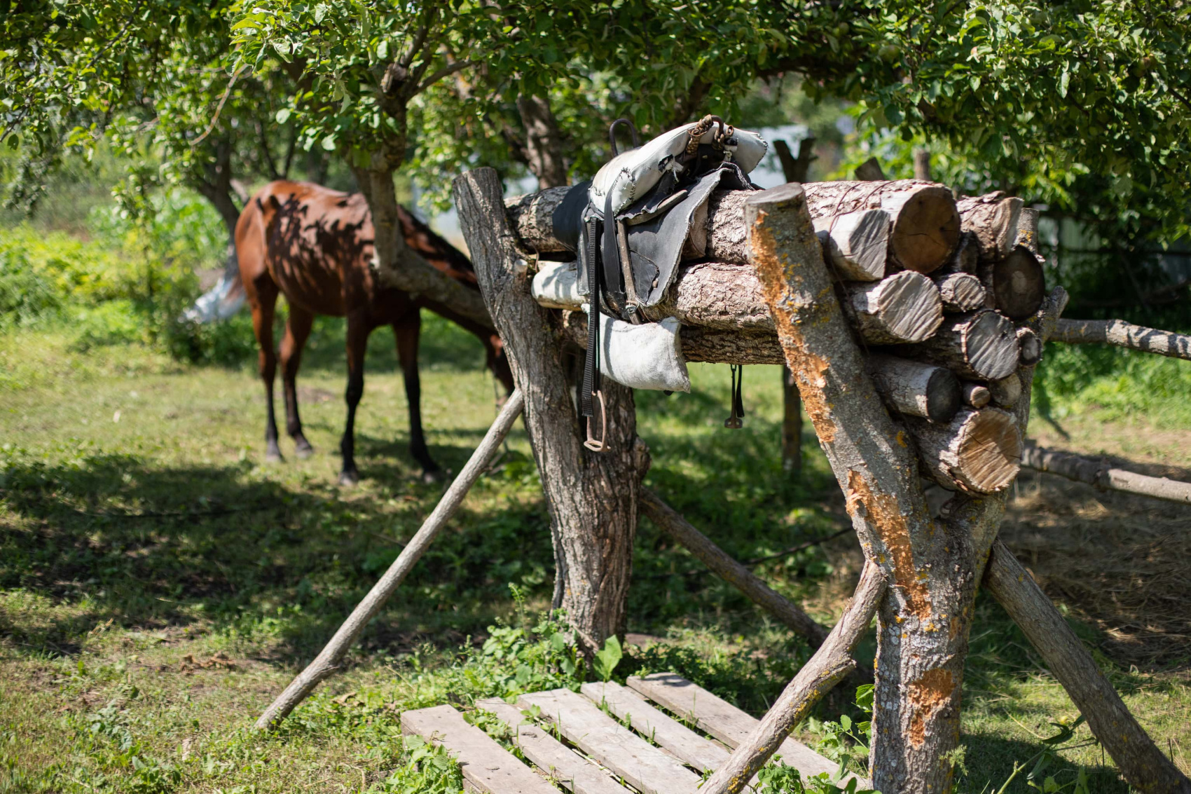 Кухни Кавказа (18/28)