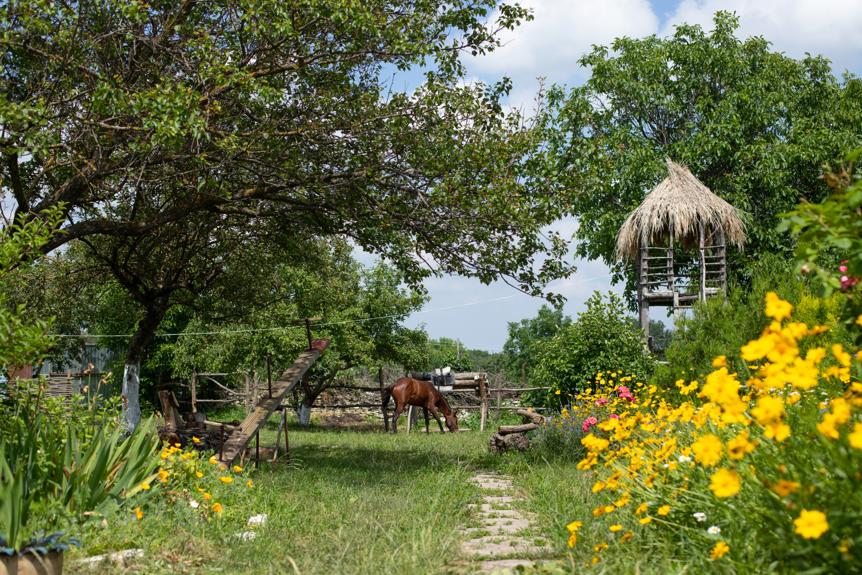 Кухни Кавказа (19/28)