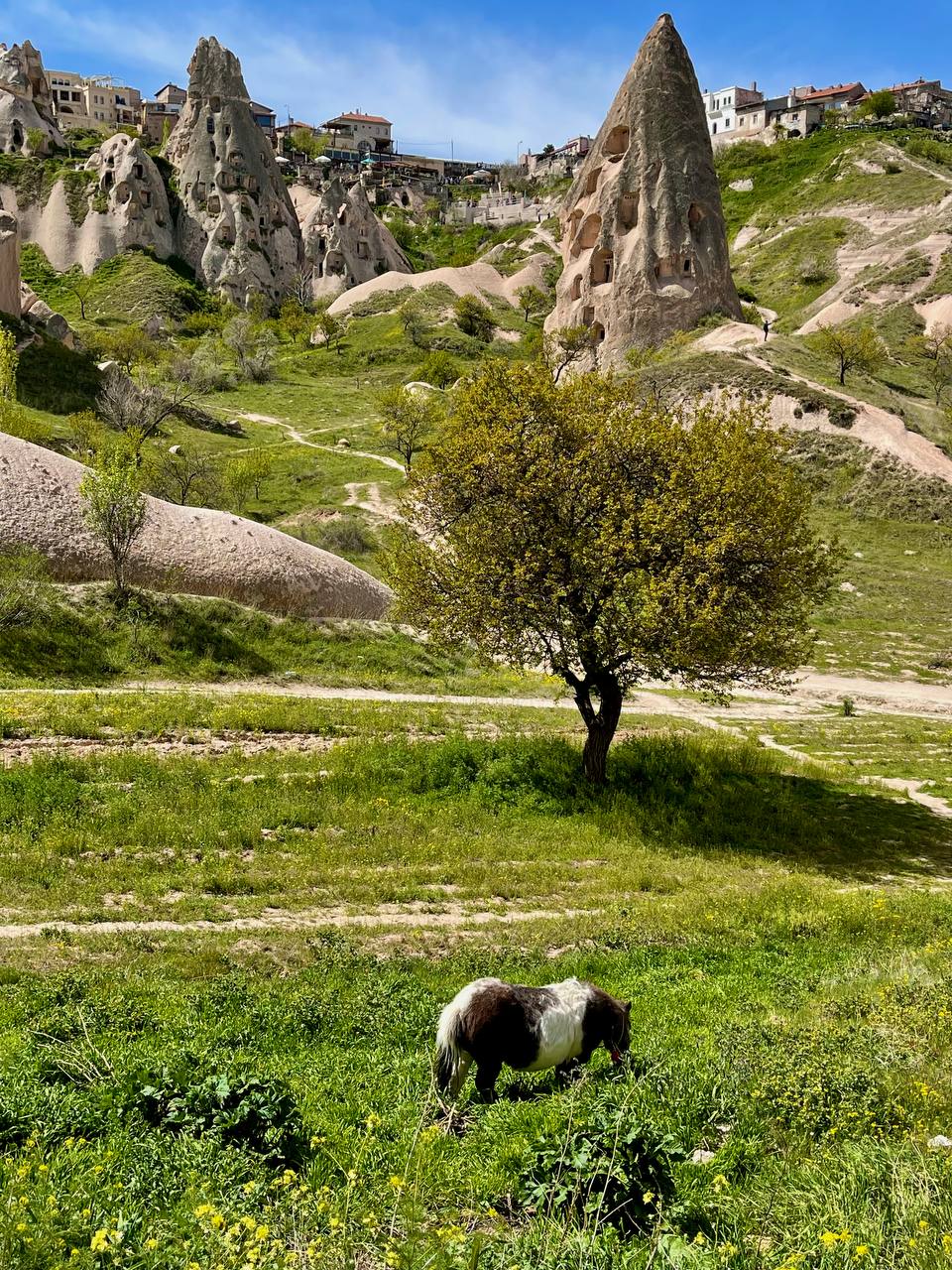 Стамбул+Каппадокия, максимум впечатлений и активностей (73/238)