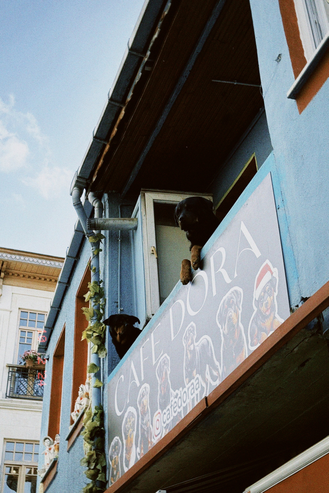 Стамбул+Каппадокия, максимум впечатлений и активностей (166/238)